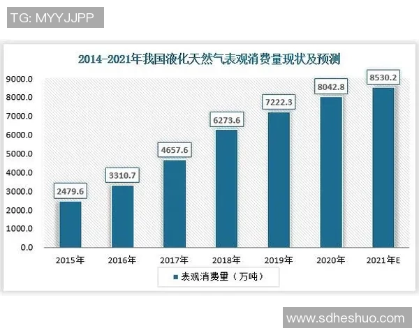 独家深度解析LNG行业中个人能力的差异与影响因素