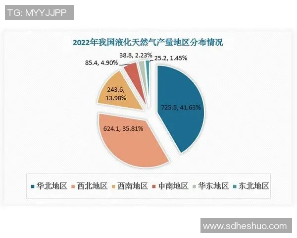 深度分析LNG市场的防御与反击策略探讨